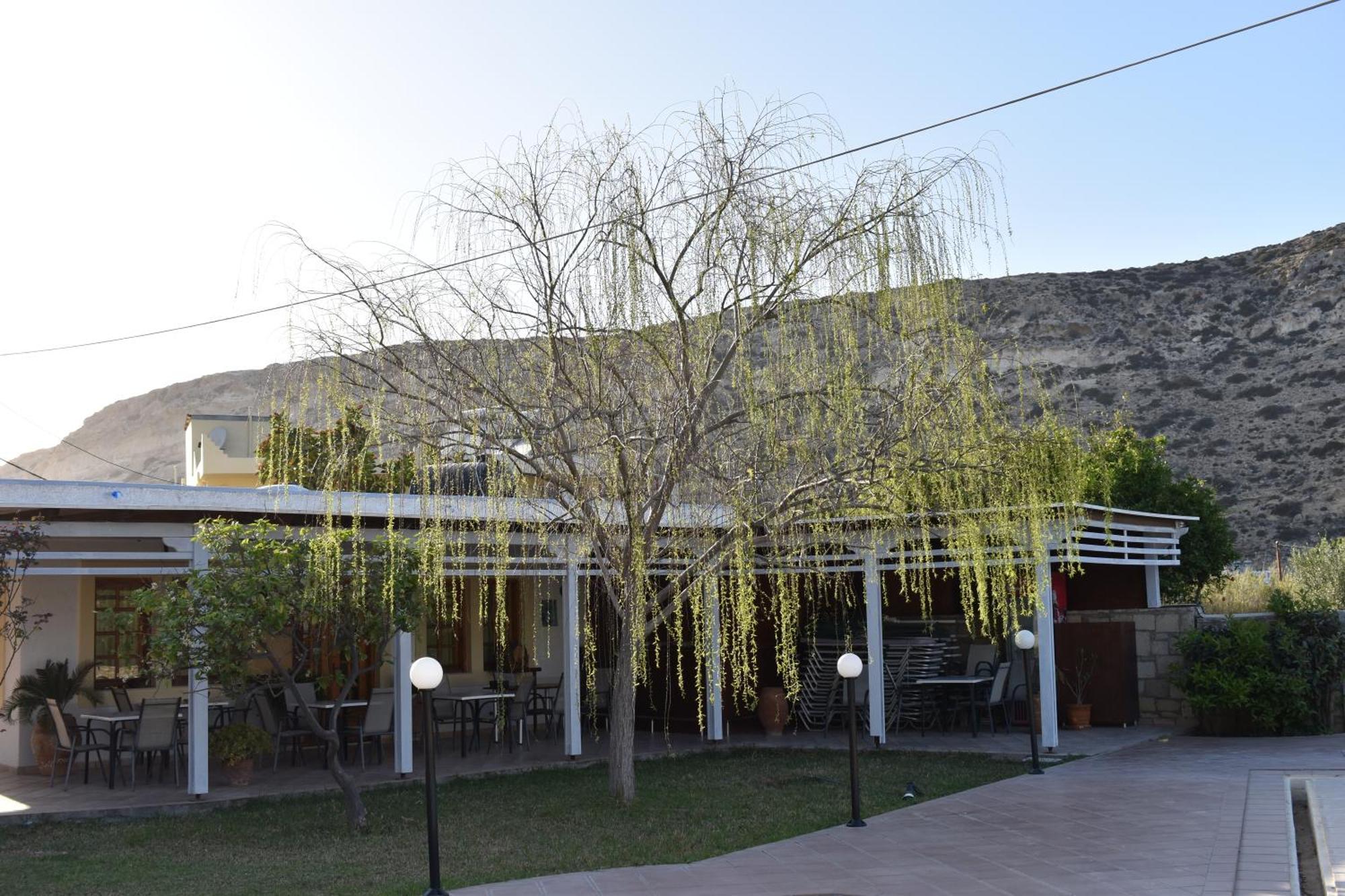 Dimitris Villa Hotel Matala Exteriör bild
