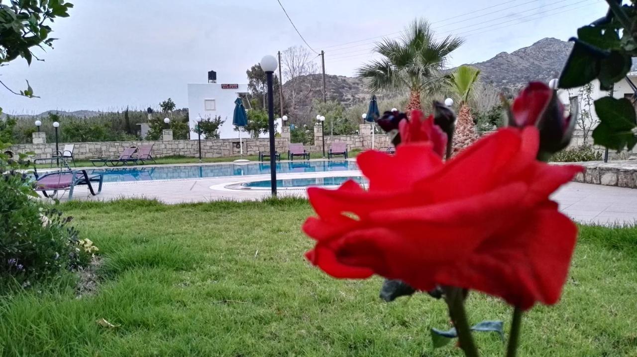 Dimitris Villa Hotel Matala Exteriör bild
